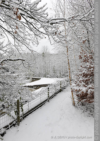 jardin sous la neige